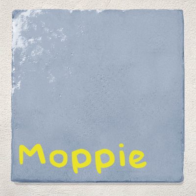 Blauwe Tegel Moppie