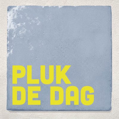 Blauwe Tegel Pluk De Dag