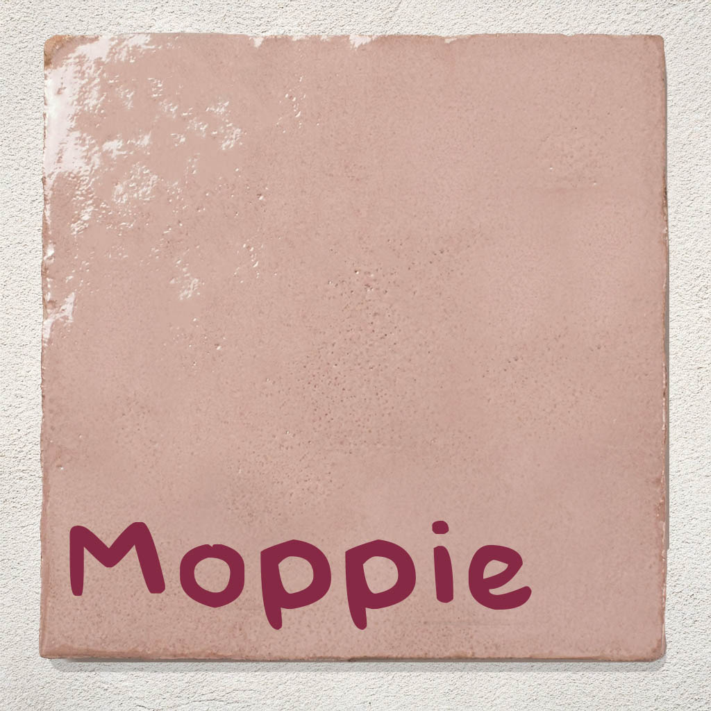 Roze Tegel Moppie