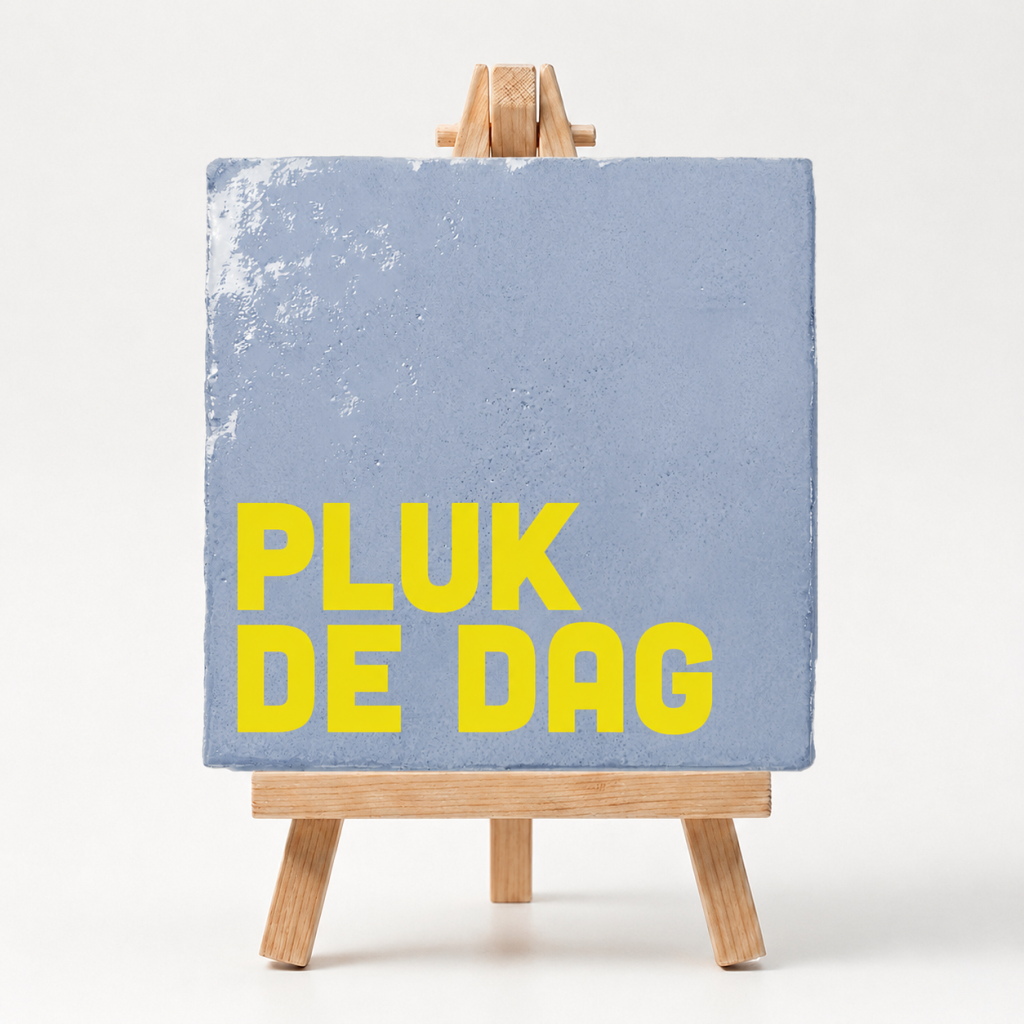 Tegeltje Cadeau Pluk De Dag