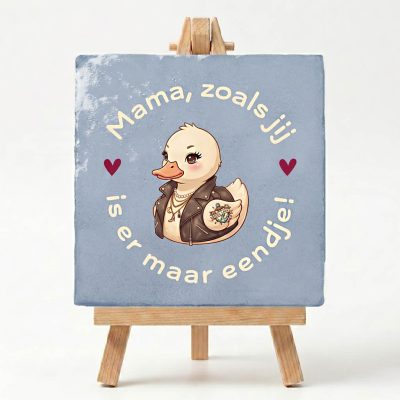 Tegeltje Eendje voorbeeld