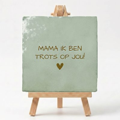 Tegeltje Mama ik ben trots op jou voorbeeld